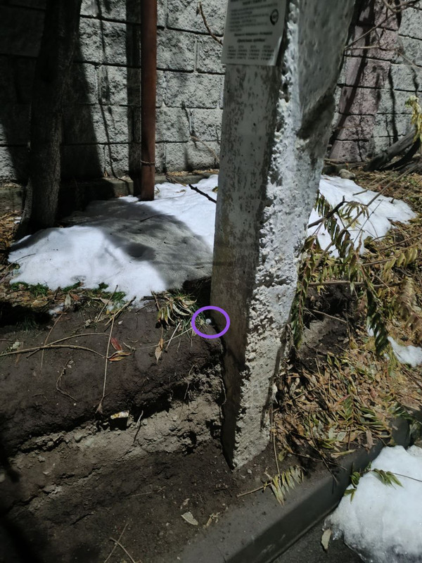 photo 2 2025 12 15 12 56 21