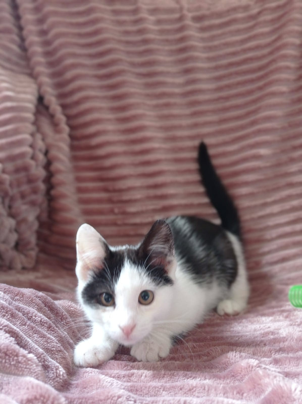 Изображение WhatsApp 2024-09-23 в 20.44.55_84412be2