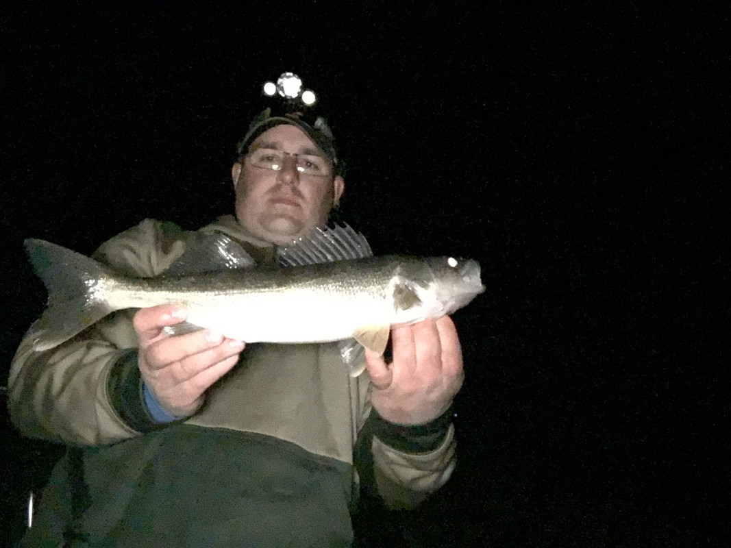 B3BB1F6E-CDA5-4968-9827-3326F8659BC6