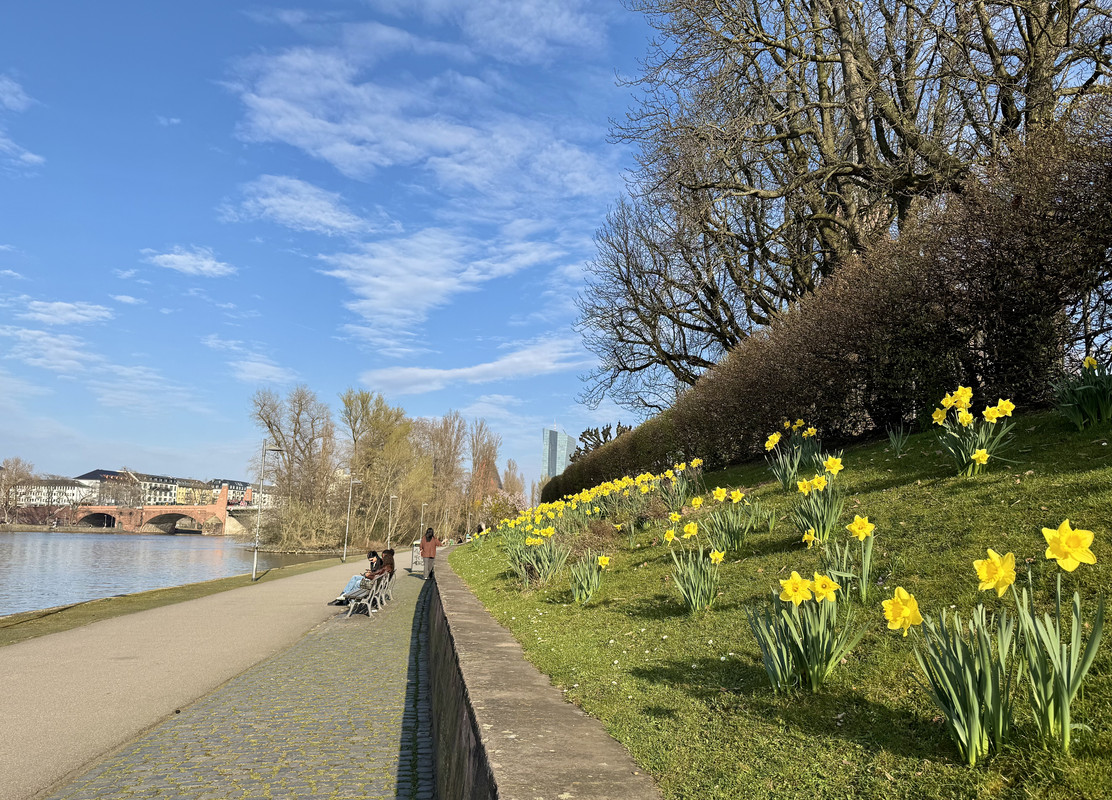 B3E21DD1-E5A2-40B5-A9A2-B113BF63C0D7_1_201_a