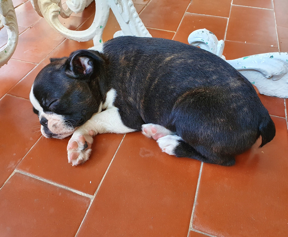 F7139C0B-437E-4CCC-A597-7A985F8ADCC4