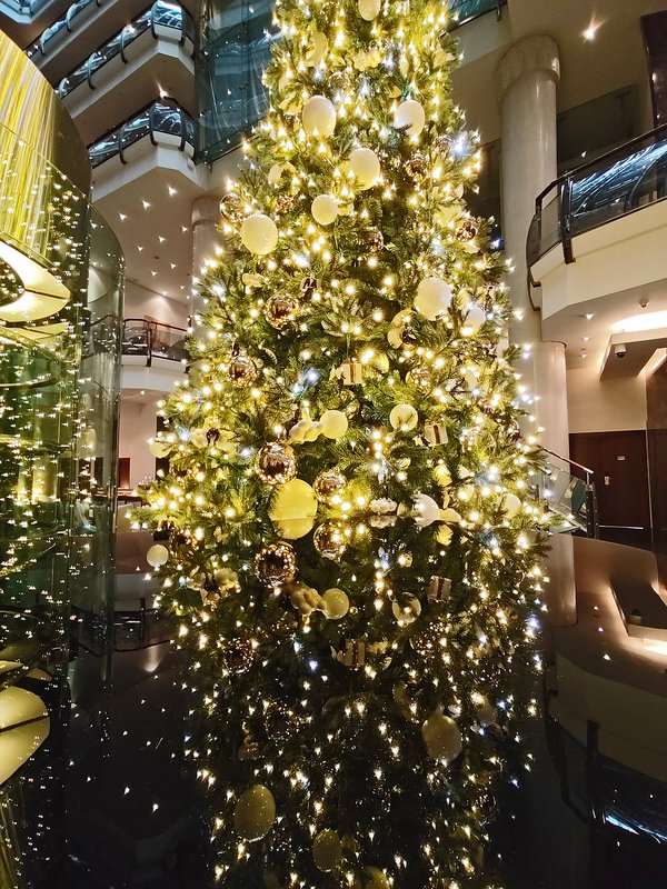 https://i.postimg.cc/W1bLG8JB/009-IMG-20231228-105809.jpg