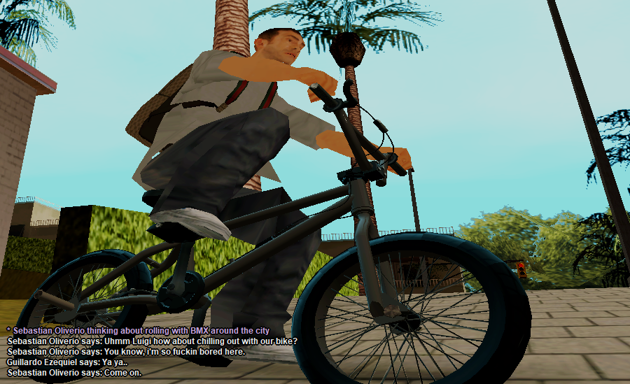SS10.png