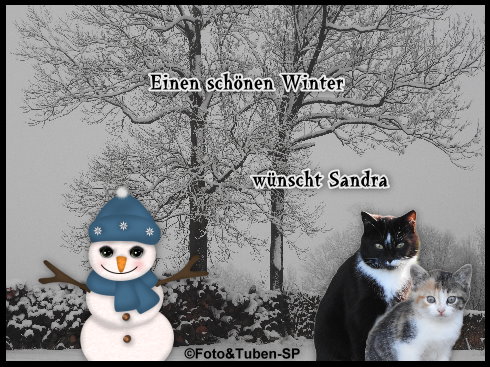 An den Beitrag angehängtes Bild: https://i.postimg.cc/W1bxTW4H/gbls03qq.jpg