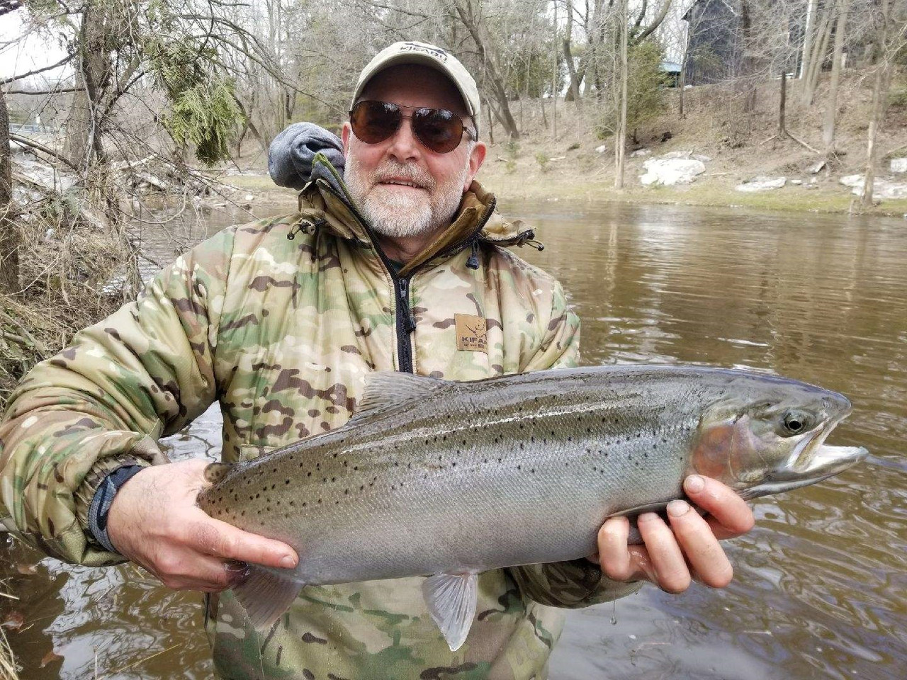 Steelhead 3