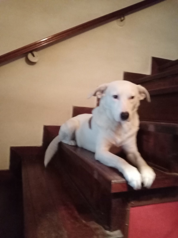 εικόνα_Viber_2024-11-13_12-36-33-182