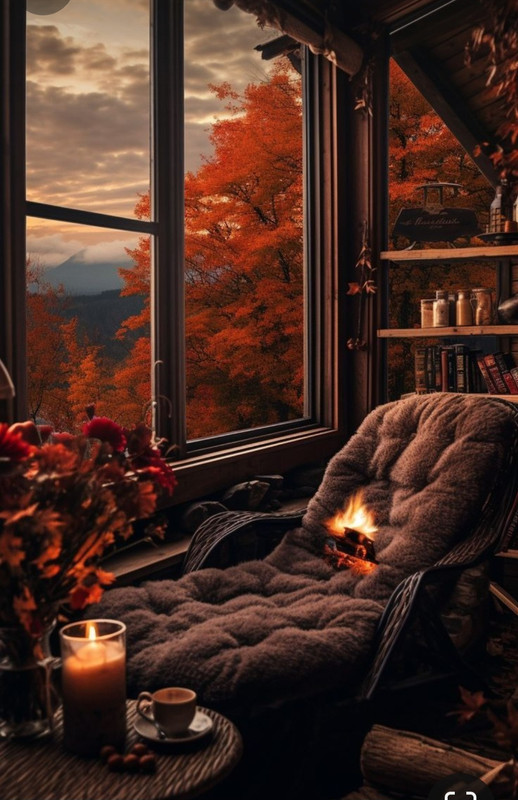 Screenshot_20231217_213302_Pinterest