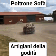 text alternatif