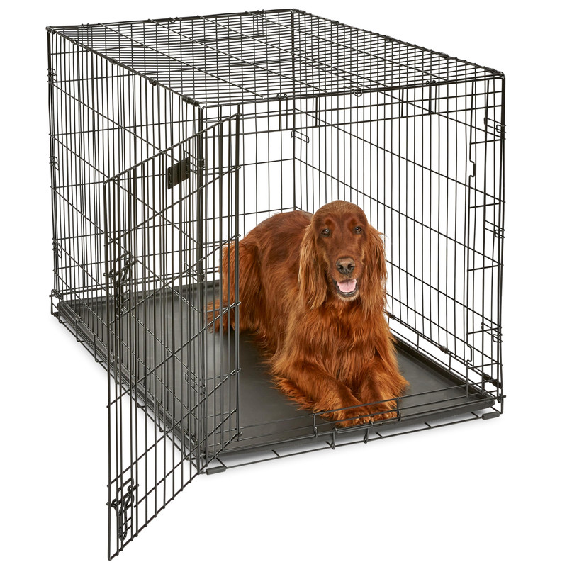 MidWest Homes for Pets 42-Inch iCrate Large Single Door