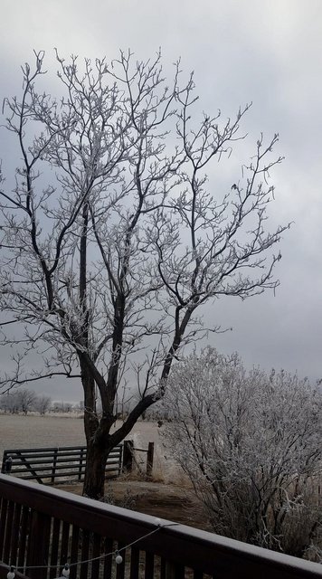 [Image: AE81594-B-466-A-4-BFB-9769-A198981-B1762.jpg]