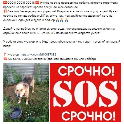 Скриншот 08-07-2020 144451