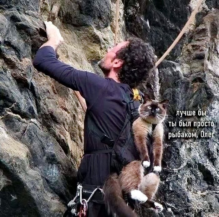 Высокие отношения (Молчи, Вася, со мной ты познаешь высшее наслаждение)