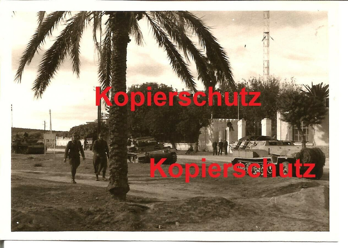 Foto Sanitäts Schützenpanzer der Tiger Panzer Abteilung 501 Tuni