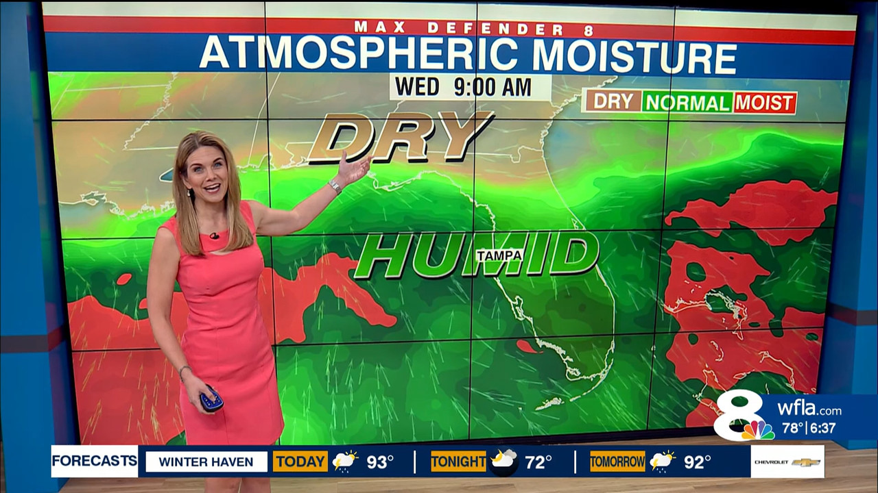 NewsChannel 8 Today at 6a_20230920_11001200.ts_snapshot_00.39.17.001