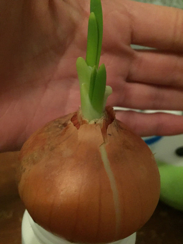 BF1C3D66-0CCF-4C76-A760-1882B97C171C