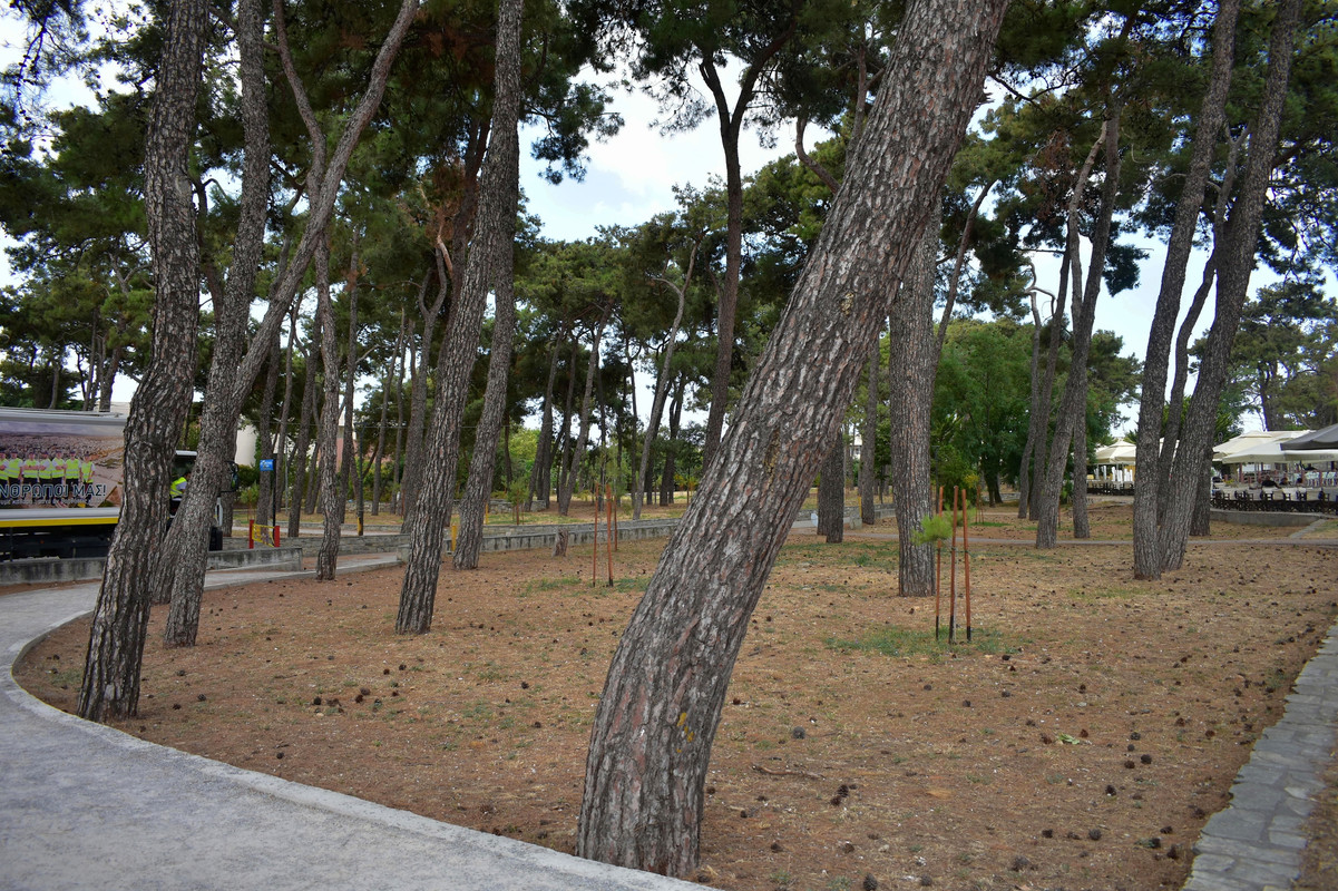 Αλεξανδρούπολη (8)