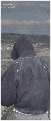 [Image: image.gif]