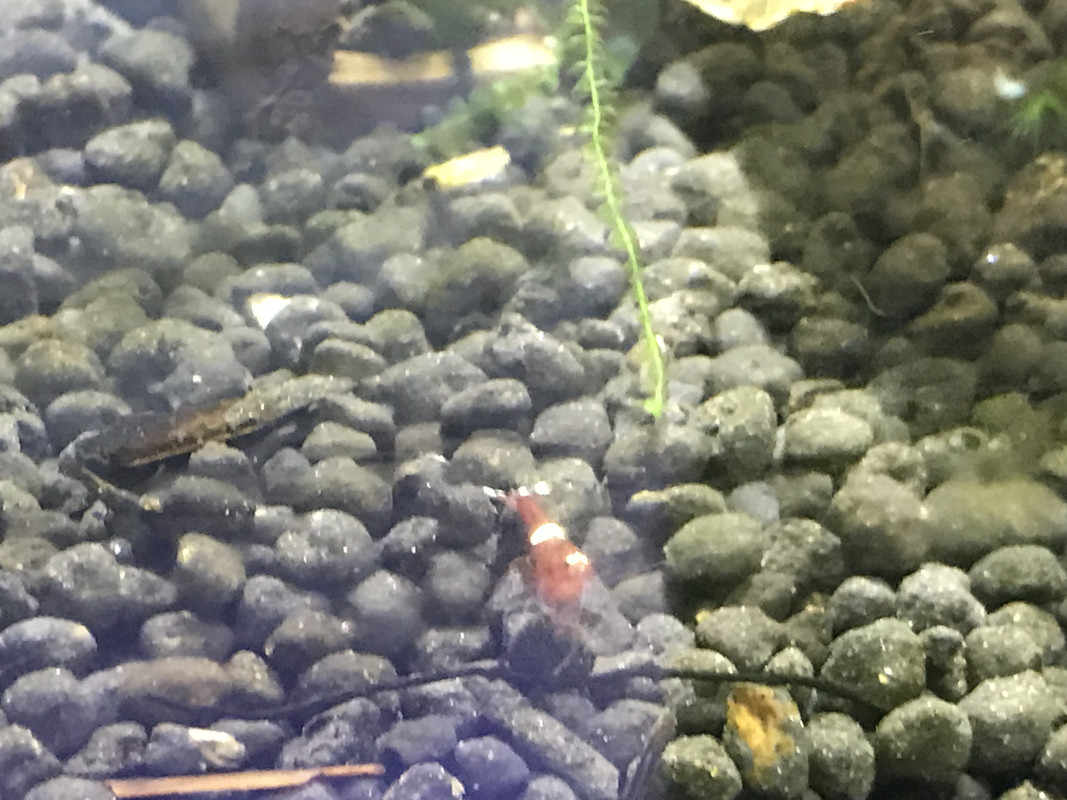 32E3D3DD-7E31-4B38-8B09-11F916F7061B