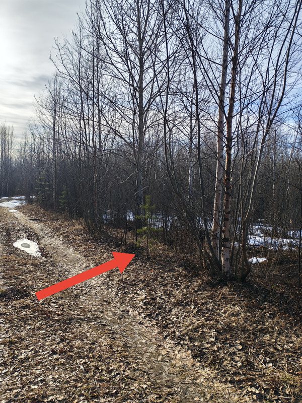 IMG 20260407 085033 edit 269579611717527