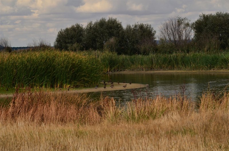 LAS LAGUNAS DE RASO-15-9-2022 - Valladolid y sus pueblos-2012/2016 (11)