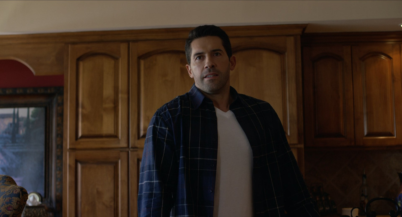 Seized (2020) (1080p BluRay x265 HEVC 10bit EAC3 5.1 SAMPA) [QxR]