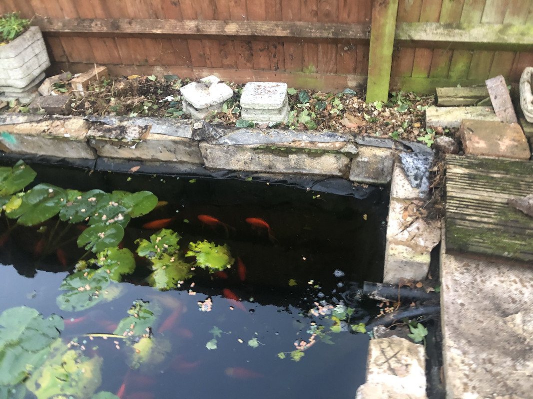 C32910B4-1D3F-4624-B08D-5E511440BDD9