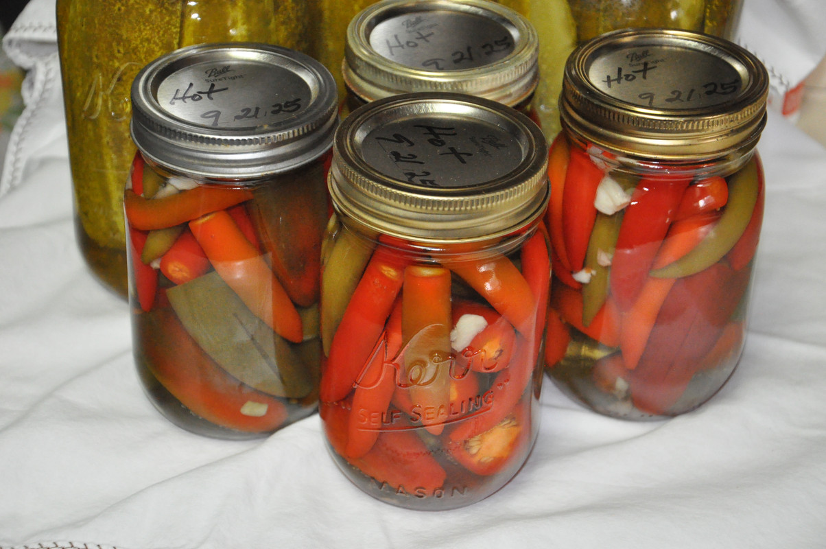 Canned Hot Peppers 09-21-25 03