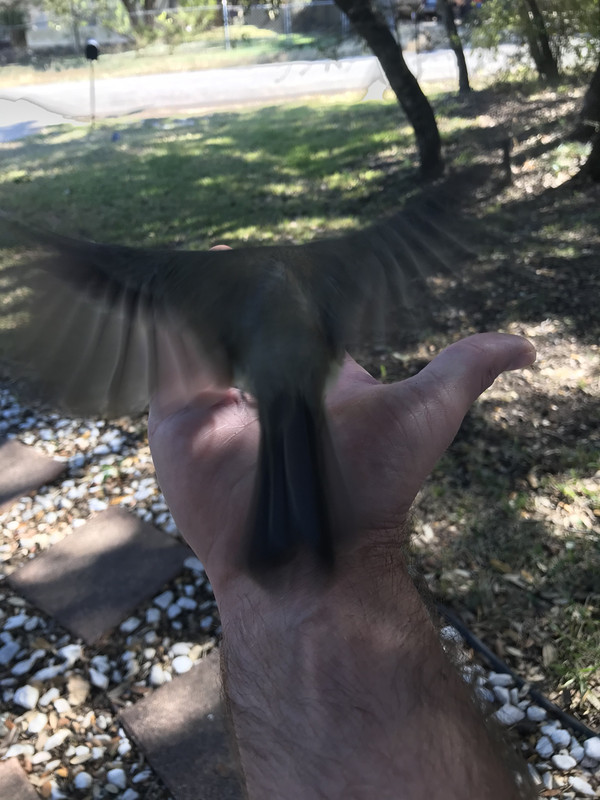 F58B3CB5-487D-41E2-839A-6AF7769595A5