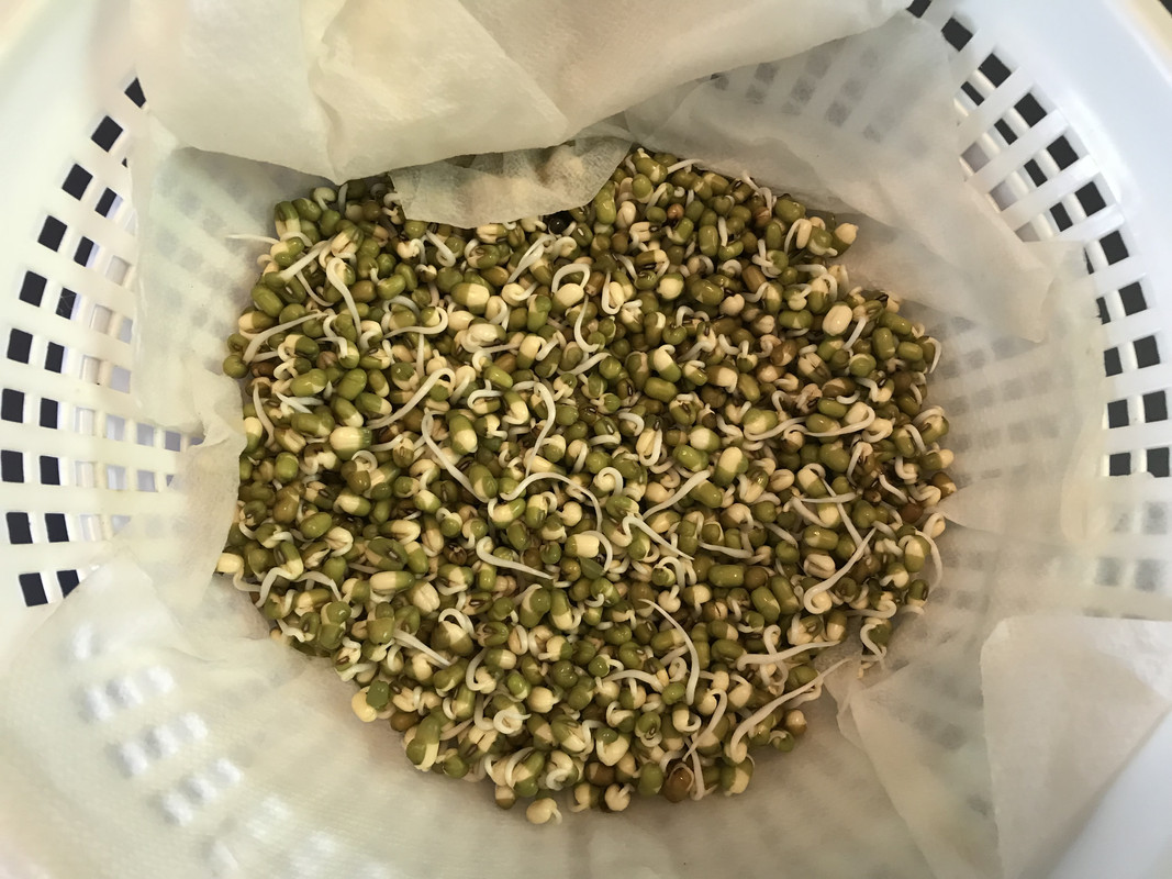 57D0E04F-834D-4BEB-8F88-A99B5FFC5F80