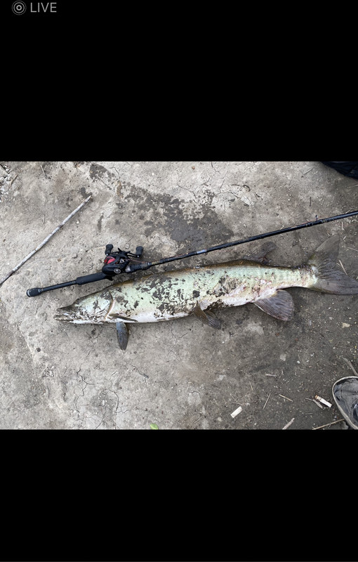 2DF5881B-BB09-4743-A85F-25DA5C6026D6