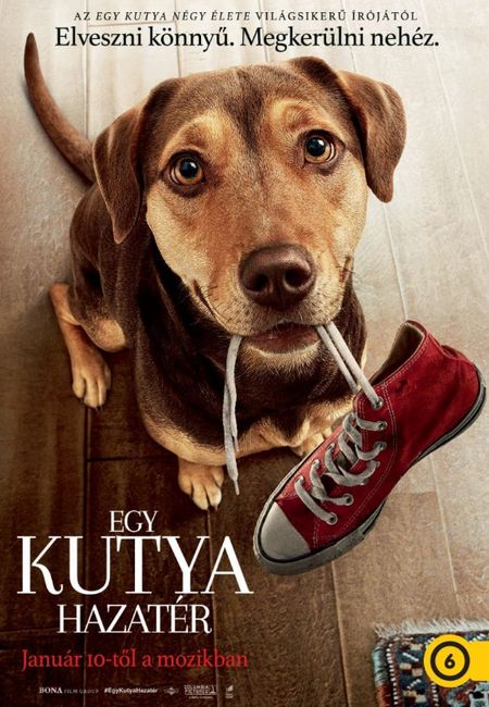Egy-Kutya-Hazater-2019-f.jpg