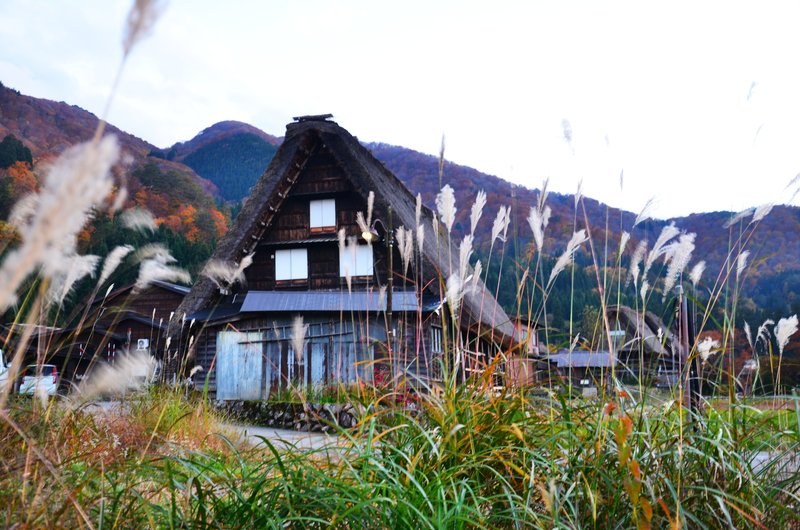 Aldea Histórica de Shirakawa-Go-14-11-2024 - Japón y sus Pueblos-2024 (12)