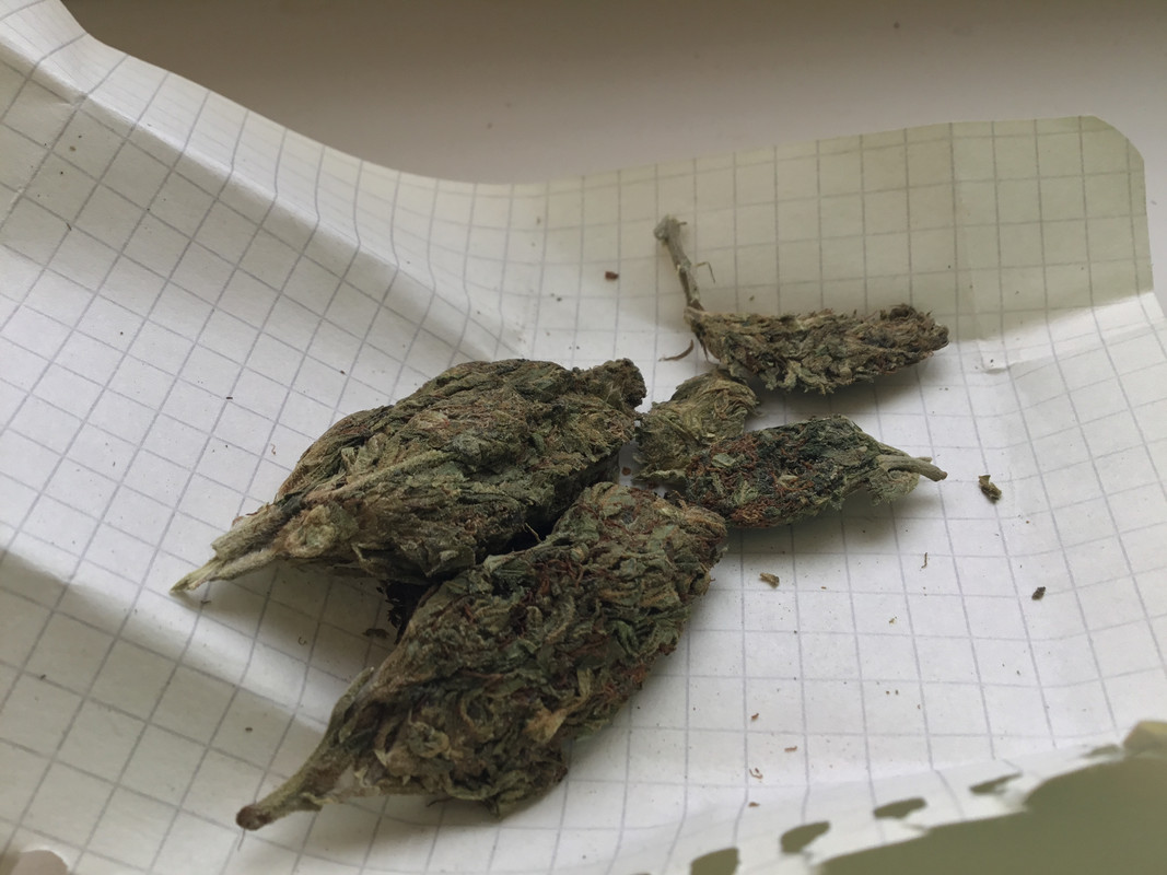 F101BE2F-C0B7-44C2-810A-01B4AA55D6AA