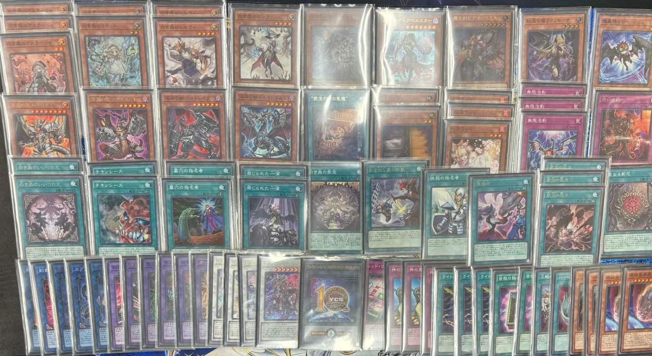 azamina white forest (3)