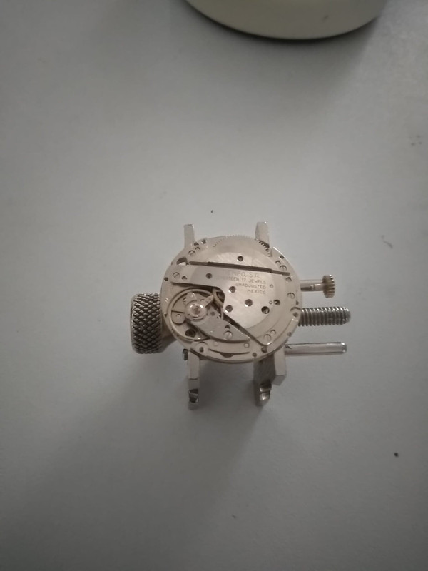 69226194_2865061536844115_3994000898706636800_n