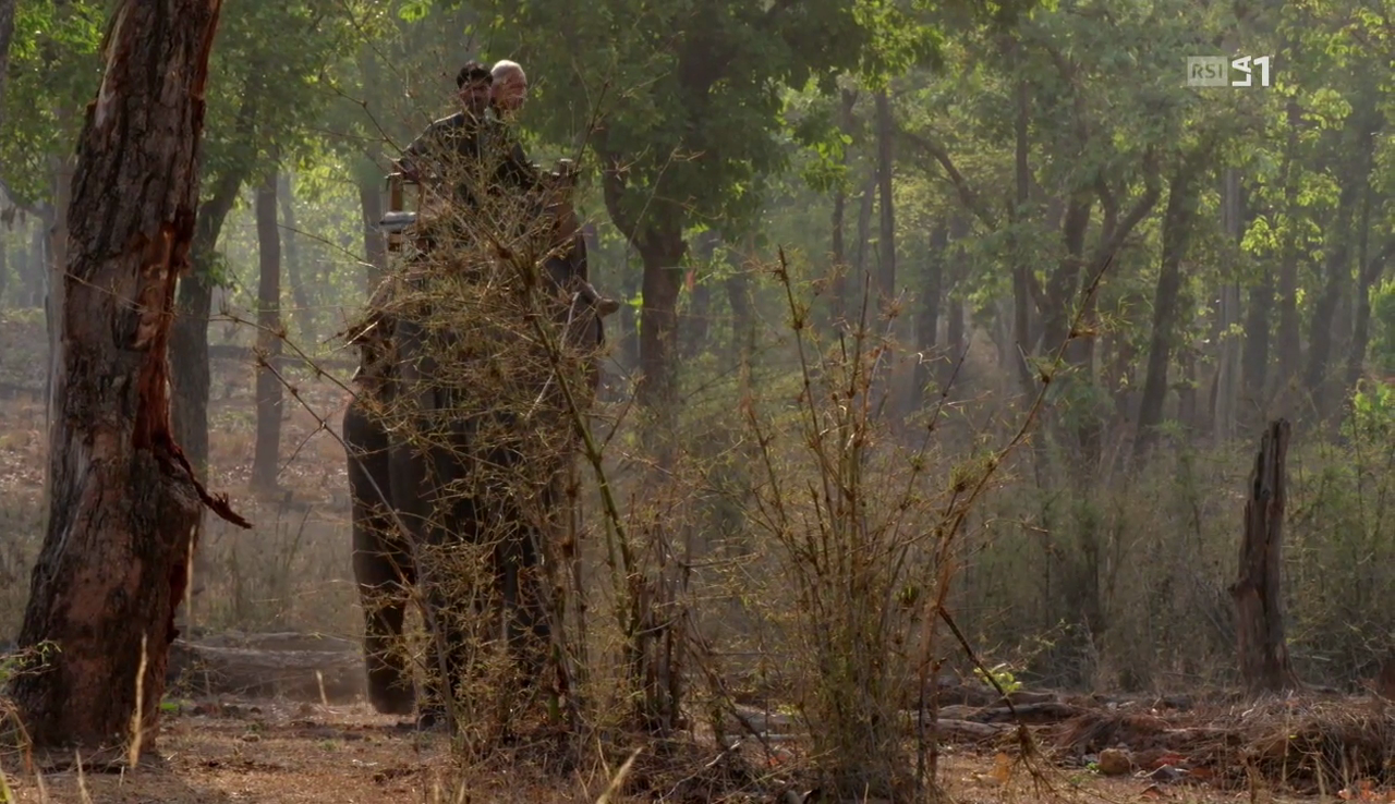 vlcsnap-2017-01-16-17h57m40s900