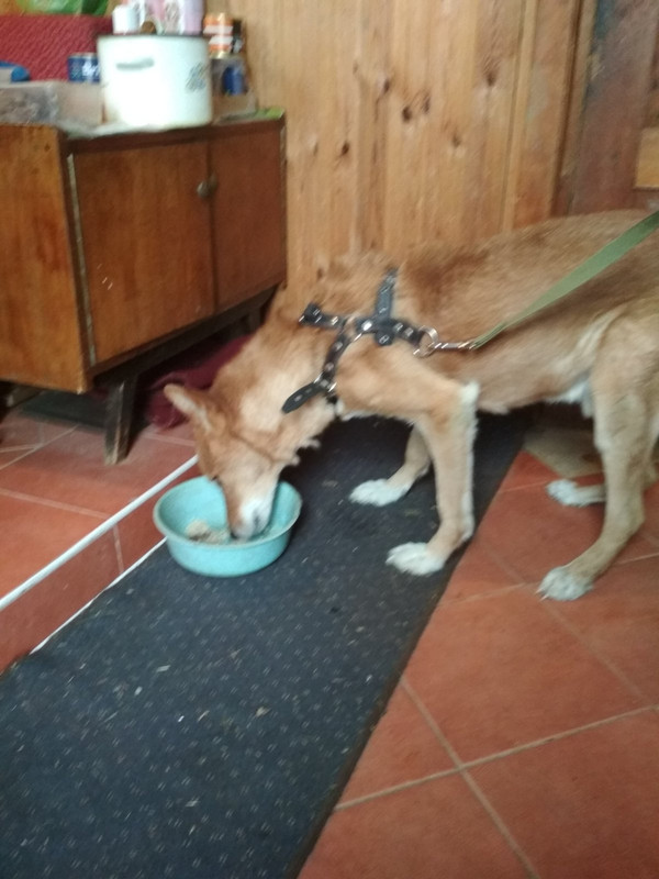 изображение_viber_2019-12-31_13-24-40