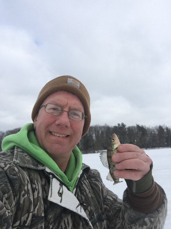 Perch_2018_B