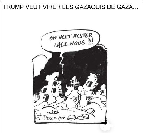 text alternatif