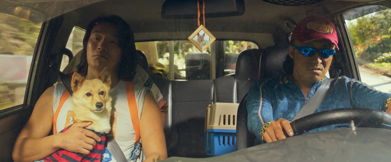 Handsome Guys 2024 WebRip [Hindi + Tamil + Telugu + Korean] 480p 720p ESub Screenshot