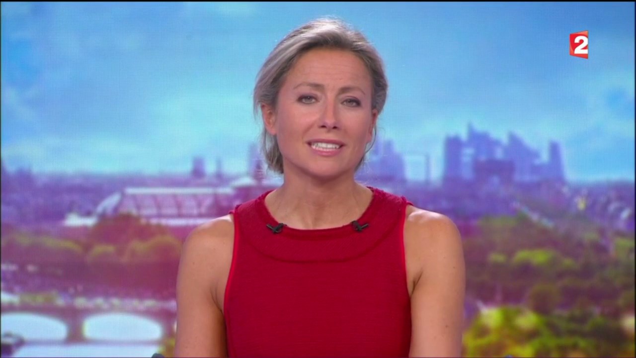 Anne-Sophie Lapix to edit 040917.mp4_snapshot_13