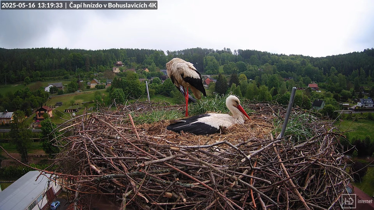 Tiešraide no KARA uzņēmuma stārķu skursteņa Bohuslavicē netālu no Trutnovas 13-6-18 screenshot