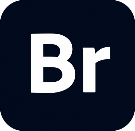 Adobe Bridge 2024 14.0.0.102 Multilingual (Win x64) Adobe Bridge 2024 14.0.0.102 Multilingual (Win x64)