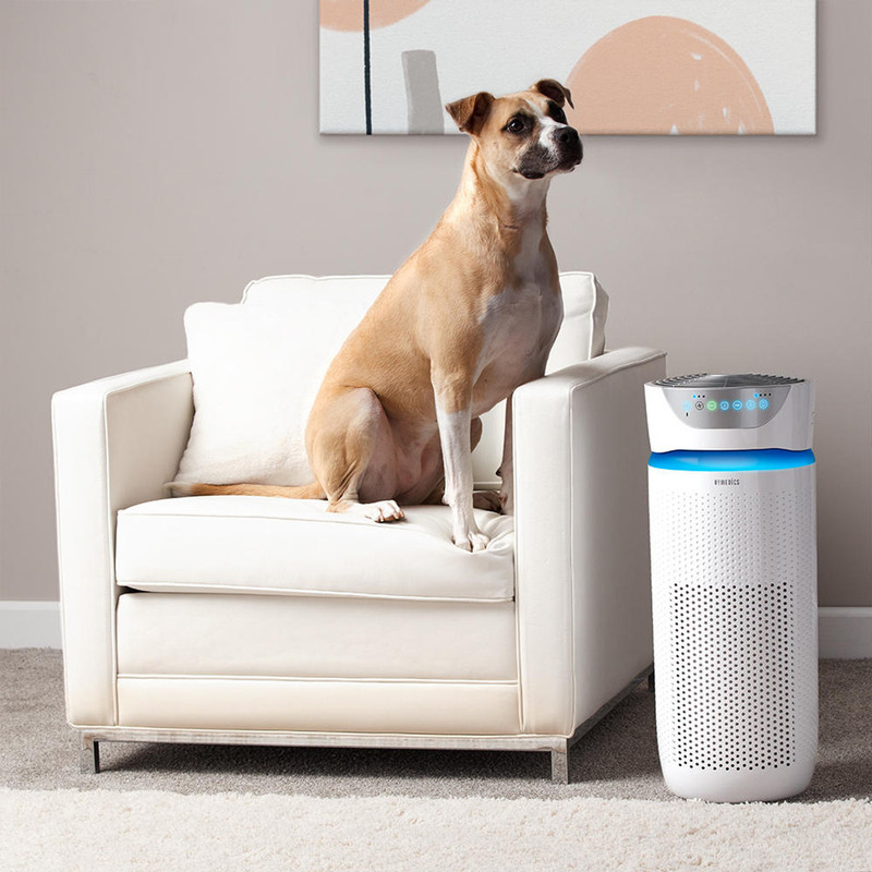 Purificador de aire Homedics TotalClean 5 en 1 en un ambiente de sala.