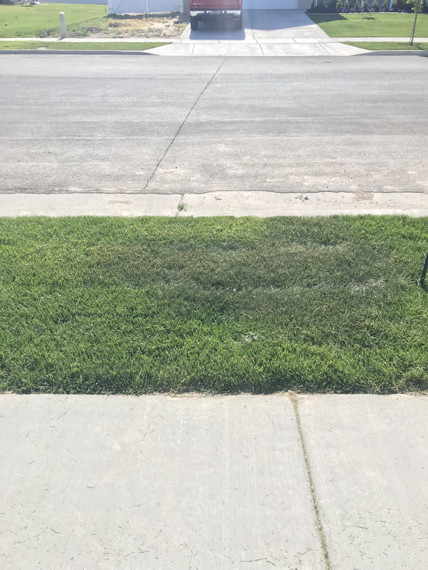 BA9F9273-8BF7-4D98-8AAB-FDF3C72CA01A