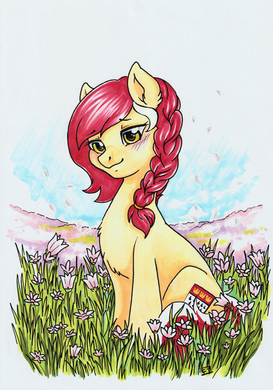 [Bild: 2020-Toko-Kami.jpg]