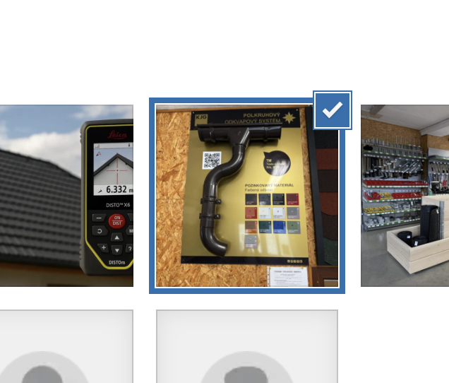 Selected image - Gutenberg (replace image)