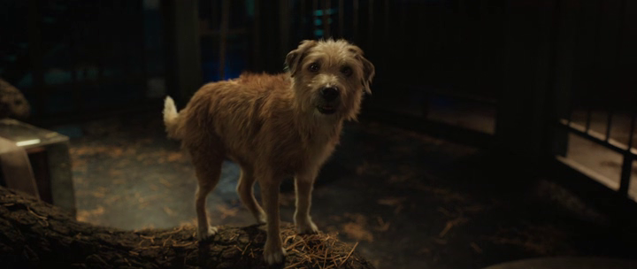 vlcsnap-2020-08-22-18h37m51s068