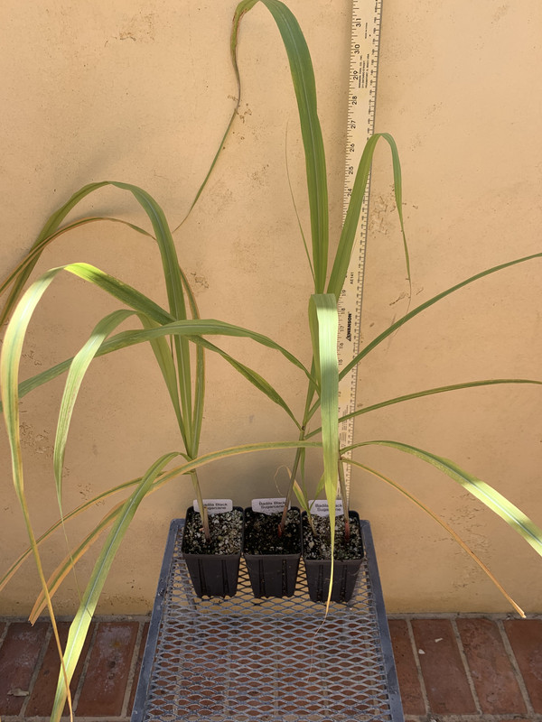 C23D884F-A627-4D13-B8A2-5D9894073A3B