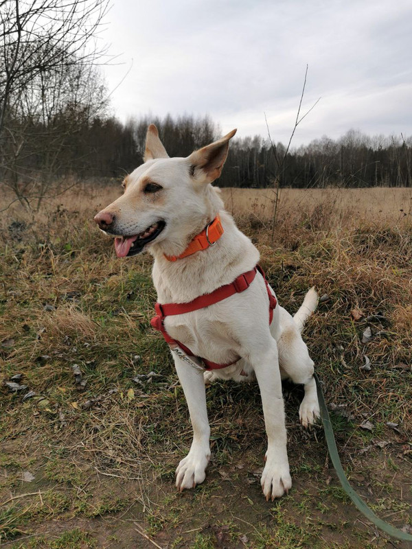 photo_2022-11-09_22-25-19 (2)